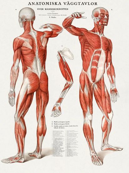 Anatomy of a figure